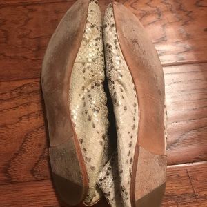 Coach Snakeskin Flats